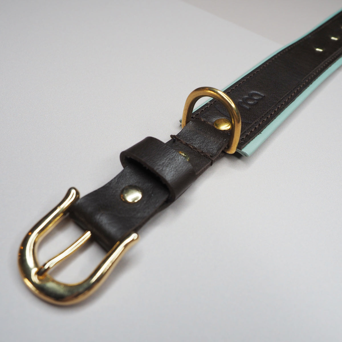 Hundehalsbånd i brunt skinn med mintfargede detaljer - medium